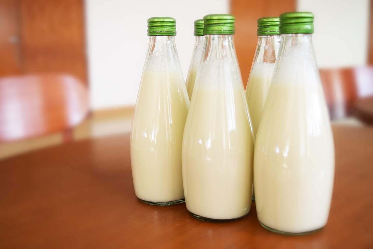5 benefici del latte di Kefir (e come prepararlo)
